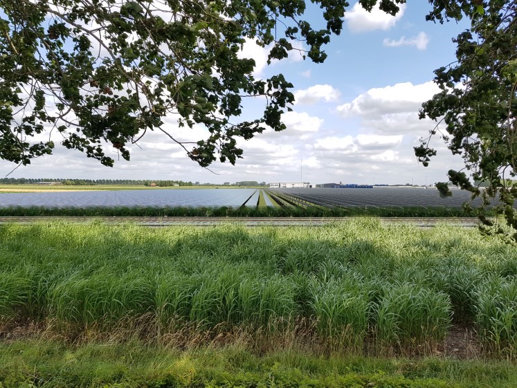 solar farms